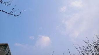 春暖花开国产原创在线,国产原创在线影视的蓬勃发展