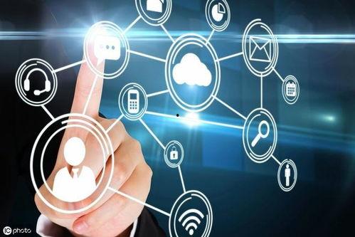 国产一极理论片在线观看,揭秘新时代文化自信的强大力量