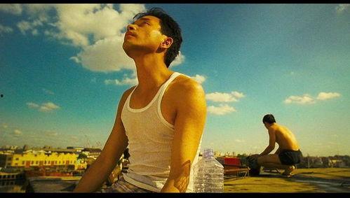 国产在线观看分类同性,同性题材作品，情感共鸣与时代变迁