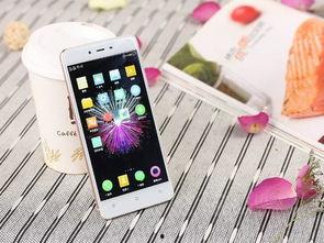 国产女涩手机在线,引领潮流的时尚新宠